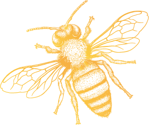 Potsdamer-Gartenhonig_Logo-Biene
